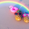 How to Juggle University Exams and Summer Internship Applications Effectively