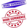 Measuring the Success of UK University Career Services: Graduate Outcomes and Employability Rankings