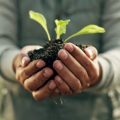 Green Careers: Studying Environmental Science and Sustainability in the UK
